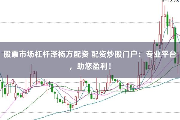 股票市场杠杆泽杨方配资 配资炒股门户：专业平台，助您盈利！