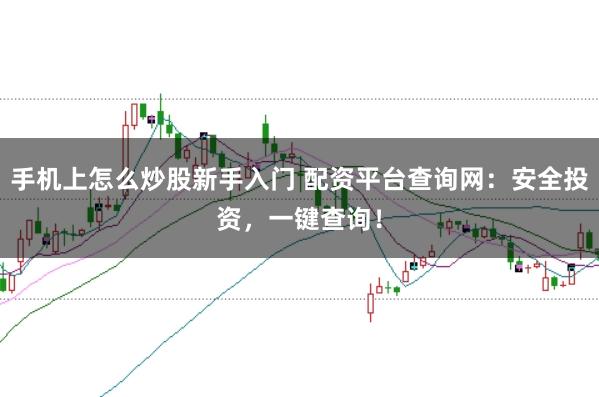 手机上怎么炒股新手入门 配资平台查询网：安全投资，一键查询！