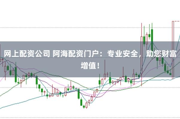 网上配资公司 阿海配资门户：专业安全，助您财富增值！