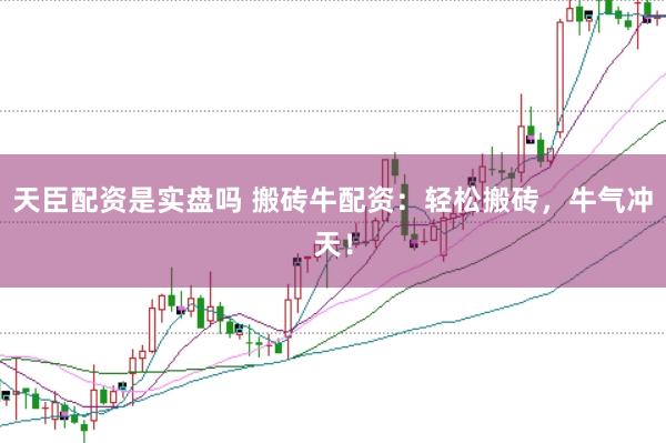 天臣配资是实盘吗 搬砖牛配资：轻松搬砖，牛气冲天！