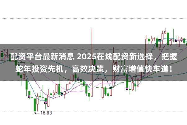 配资平台最新消息 2025在线配资新选择，把握蛇年投资先机，高效决策，财富增值快车道！