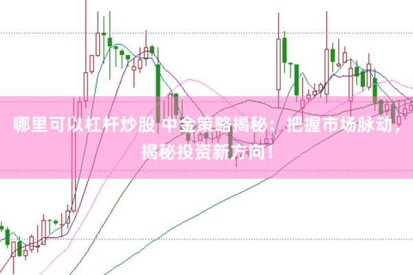 哪里可以杠杆炒股 中金策略揭秘：把握市场脉动，揭秘投资新方向！