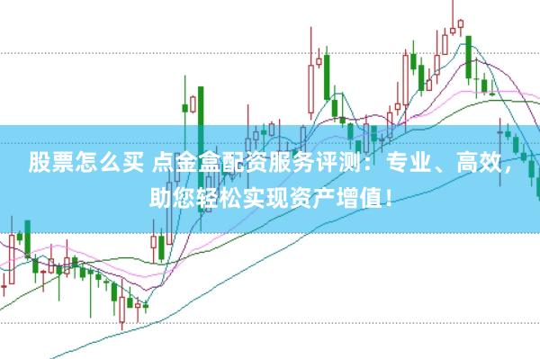 股票怎么买 点金盒配资服务评测:专业、高效,助您轻松实现资产增值!