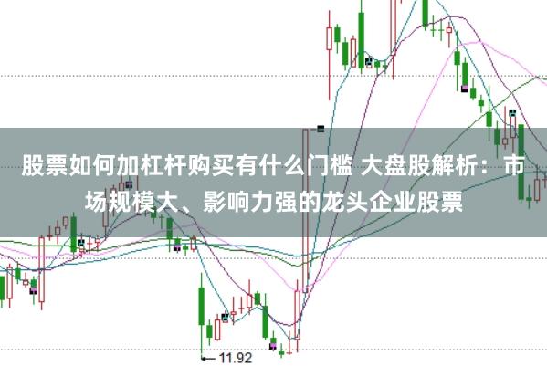 股票如何加杠杆购买有什么门槛 大盘股解析：市场规模大、影响力强的龙头企业股票