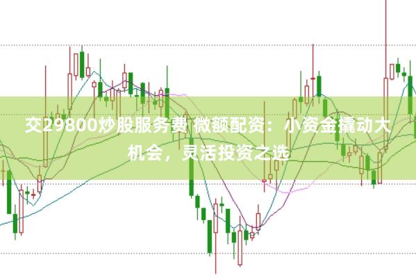 交29800炒股服务费 微额配资:小资金撬动大机会,灵活投资之选