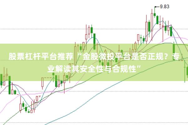 股票杠杆平台推荐 “金股微投平台是否正规？专业解读其安全性与合规性”